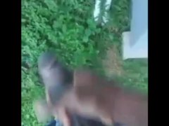Chocolate thunder  - Screenshot 16 of 16 - Black