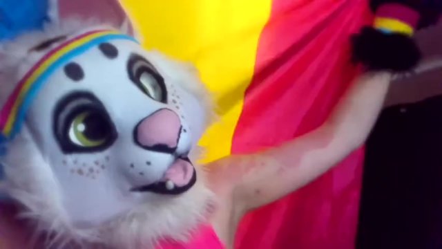 Кот Нори хочет пожелать ВАМ счастливого прайда 2020