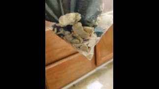 Иди съешь мой хлеб из носков