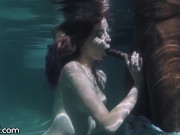 Preview 1 of Haley Reed Deepthroats Underwater Before Pounded In Shower