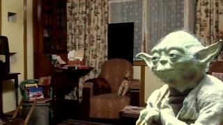 Yoda explica por que sua mãe e ele estão se divorciando (ASMR)