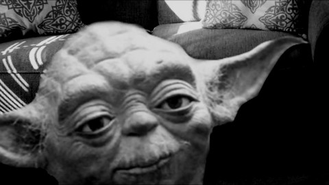 Interviewing Yoda About Being Captured In Vietnam (ASMR)