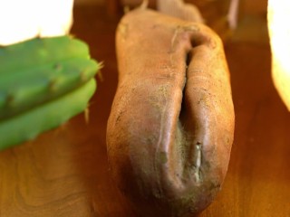 Sweet Potato Vagina Fucking the Pain away with a Cactus