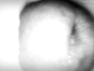  Creampie, but the camera is in the pussy.