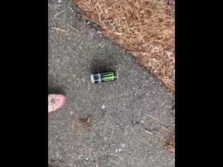 Empty monster can Playground