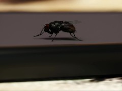 BEING A DIK #79 • PC GAMEPLAY [HD] - Screenshot 11 of 16 - Being A Dik