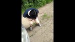 Playlist Thumb 153247181-2