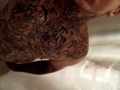 Yes or no - Screenshot 4 of 16 - Prince Albert