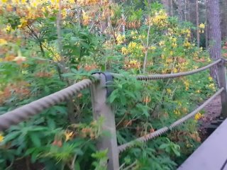 Naughty Girl_Pees her Diaper in_a Park