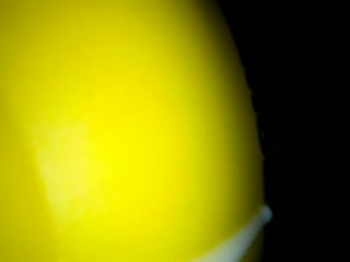 Big Cum load in a vacuum cleaner