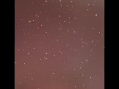 Circus Part 4 - Screenshot 4 of 16 - Vibrator