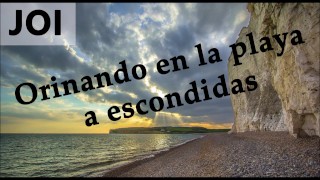JOI Pillados Meando Escondidos En La Playa En Español