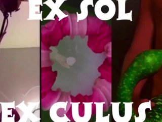 solo man masturbate, exclusive, verified amateurs, xxx music video