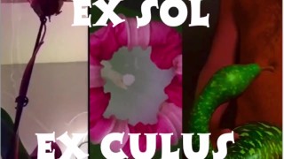 Sorcerer opperste masturberende muziekvideo Gully Wompus Benny Bellows