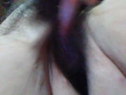 Do you want these for real? She Moans Masturbating Hairy Pink Pussy in More Modest Purple Panties