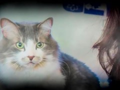 Yoda Tells Alinity's Cat Milo Through The Force To Bite Her (ASMR) - Screenshot 7 of 16 - Cat