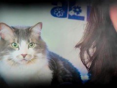 Yoda Tells Alinity's Cat Milo Through The Force To Bite Her (ASMR) - Screenshot 8 of 16 - Alinity Twitch