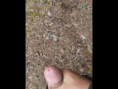 Мой друг мастурбирует в общественном месте в лесу - Screenshot 11 of 16 - Fingering