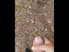 Мой друг мастурбирует в общественном месте в лесу - Screenshot 4 of 16 - Teens