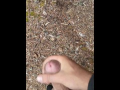 Мой друг мастурбирует в общественном месте в лесу - Screenshot 8 of 16 - Russian