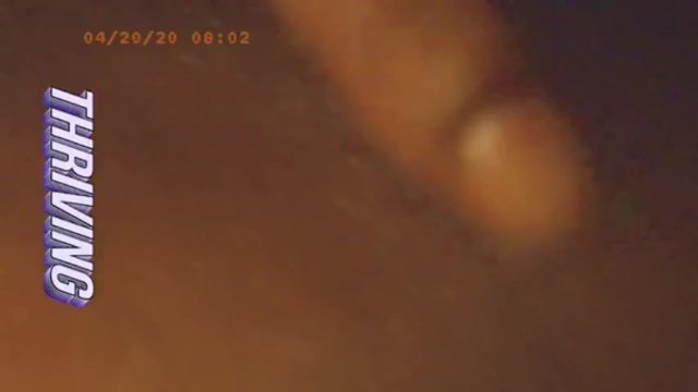 BBW Pink Juicy Pussy is always better to Stick my Dick in