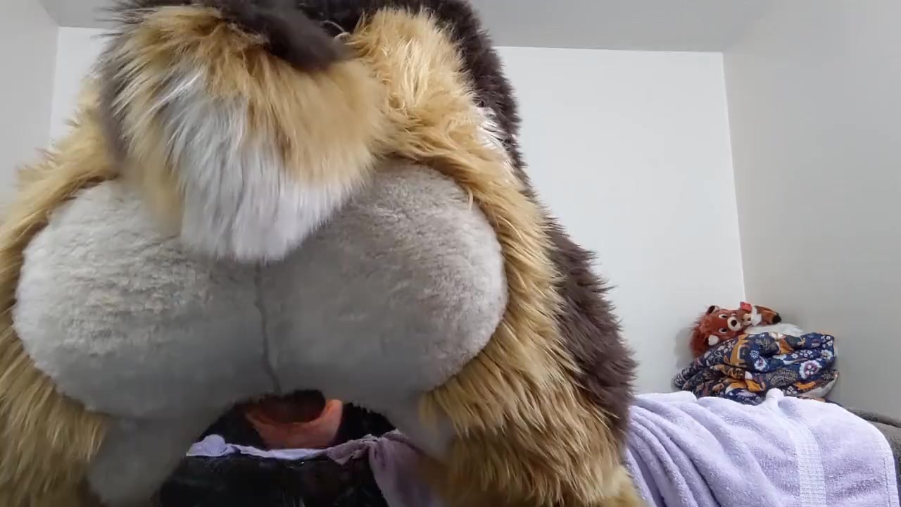 Furry suit gay porn