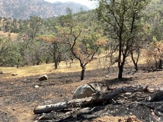Verkennen Van Naked - Wildfire Aftermath | HD 60 Fps