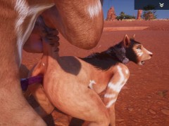 Wild Life Desert Fox Fun / Furry Porn - Screenshot 14 of 16 - Furry