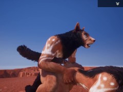 Wild Life Desert Fox Fun / Furry Porn - Screenshot 15 of 16 - Furry Yiff