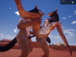 Wild Life Desert Fox Fun / Furry Porn