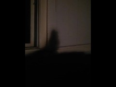 Shadow Puppet Time! - Screenshot 3 of 16 - Amateur