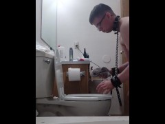 chained slave cleans toilet - Screenshot 1 of 16 - Bdsm