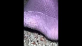 Cute pies en calcetines Lavender
