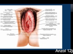 Куннилингус - теория. 12jul2020 - Screenshot 1 of 16 - Masturbate