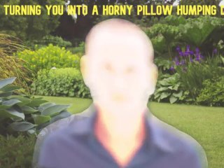 Mesmerized_to become My_Pillow Humping Dog