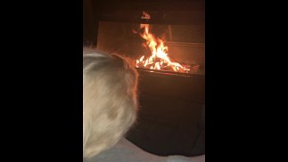 Сводный брат сперма в жопе сестрой у костра, надеясь, что их не поймают. 