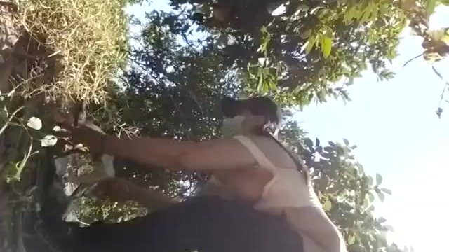 Se Desnuda En Público Por La Calle Cogiendo Naranjas