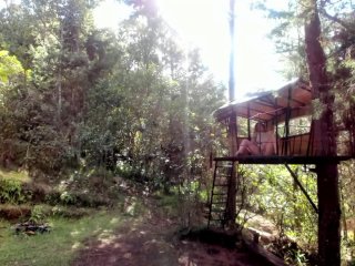 Horny Outdoor Treehouse Masturbation with Glass Dildo