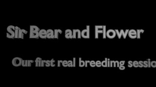OMG YES This Is Our First REAL Breeding Session
