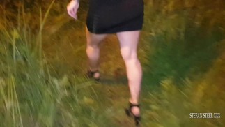Stefan Steel fuck one hot brunette in the park