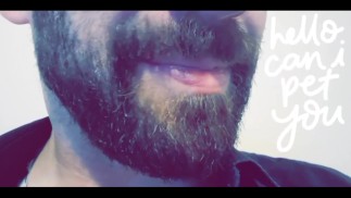 Sc Кайл Батлер Хорошее домашнее животное Инструкция