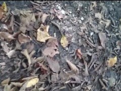 Waldspaziergang - Teil 2 ** Ohne Sportschuhe **