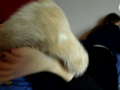 Foot smothering and trampling teddy bear (czech soles, foot domination, femdom, bare feet)