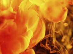 Female breeding mindwash trance