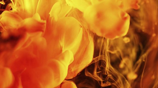 Female breeding mindwash trance