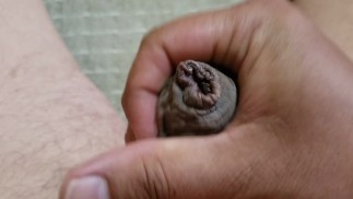 包茎チンポオナニー射精#6　Phimosis cock masturbation ejaculation#6