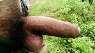Outdoor Indian Masturbation With A Large Cock