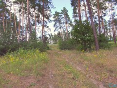 "Пожалуйста не останавливайся закончи в меня" - Screenshot 2 of 16 - Milf Pov