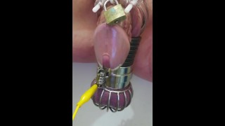 CBT Estim To Caged Cock And Balls