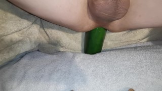 Treinamento anal de inserção vegetal de pepino grande